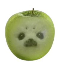 :pomme_chien:
