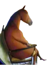 :cheval_assi2: