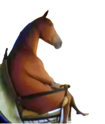 :cheval_assi2: