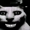 :Chatdingue: