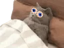 :Chadorgneu: