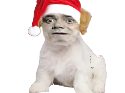 :Chien_Bourdon_Noel: