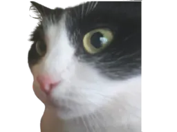:chatintrigue: