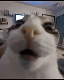 :Charmagedon:
