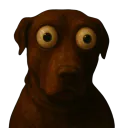 :teddicurseeyes: