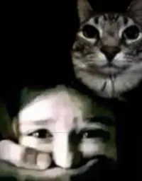 :CHAT_GROS_TARAX: