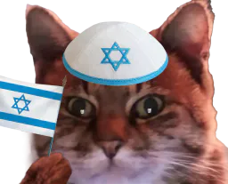 :ChatZoomIsrael2: