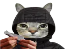 :CS_Roule: