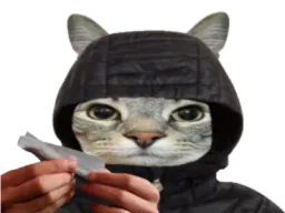 :CS_Roule: