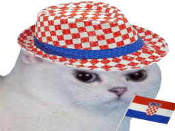 :chatcroate: