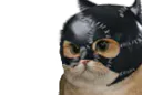 :sodium_sm: