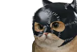 :sodium_sm:
