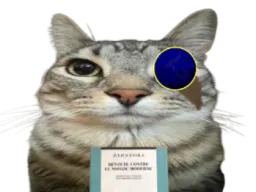 :CS_Evola: