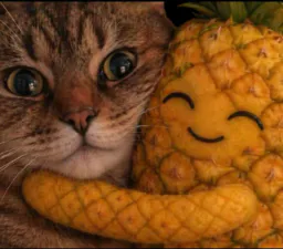 :chat_zoom_ananas_calin: