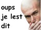 :oups-zidane-2:
