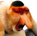 :singe_juif2: