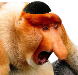 :singe_juif2: