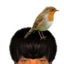 Puceauetseul