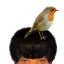 Photo de profil de Puceauetseul