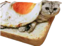 :chatoast_: