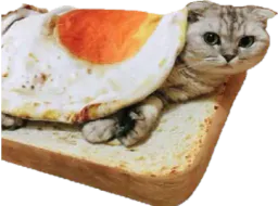 :chatoast_: