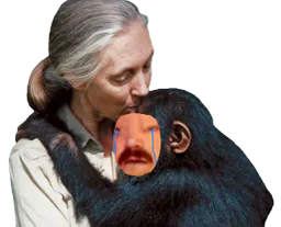 :mamansinge: