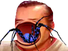 :araignee_bouche: