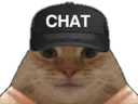 :casquette_chat: