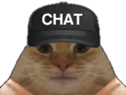 :casquette_chat: