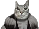 :CS_Muscle:
