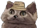 :ChApex: