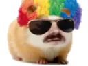 :risitas_hamster_perruque:
