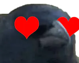 :corbeaucoeur: