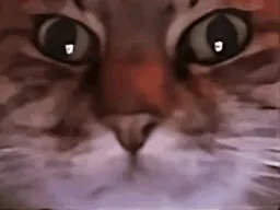:sppmq: