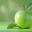 Photo de profil de -Pomme-