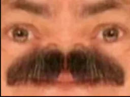 :risitos: