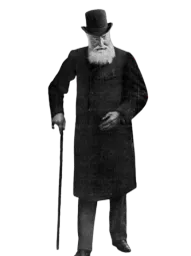 :LeopoldII: