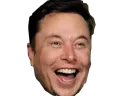 :elon_aya: