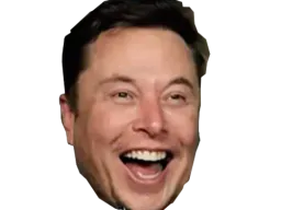 :elon_aya: