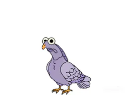 :Volutes_pigeon_vol: