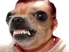 :risichien: