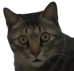 :huuh: