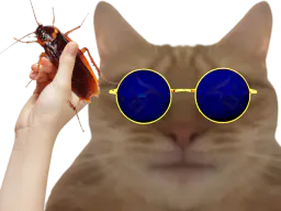 :chat_bugs:
