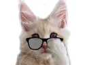 :chat_psy: