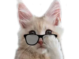 :chat_psy: