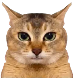 :chatde_zoom: