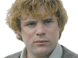 :lotr_sam: