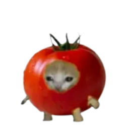 :Chatomate: