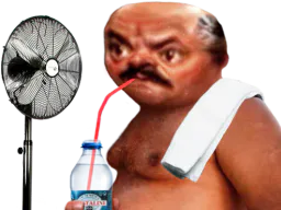 :risitas_ventilateur: