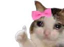 :chat_kheyette: